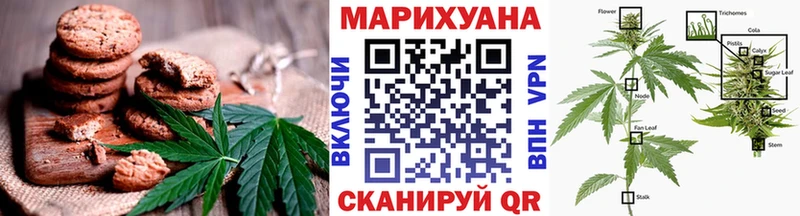 цены Шебекино Cannafood конопля
