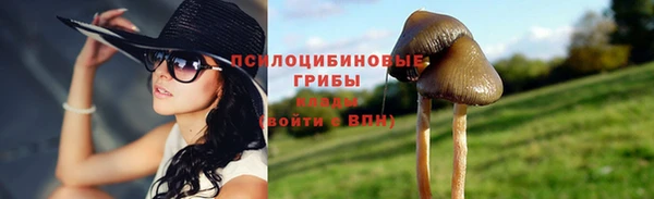 соль ск Алексеевка
