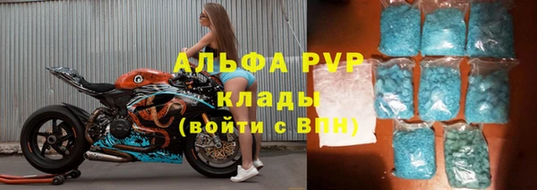 СК Алзамай