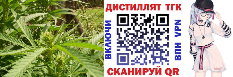 ТГК Wax  Шебекино 