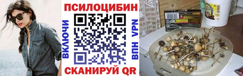 Галлюциногенные грибы Psilocybe  Шебекино 